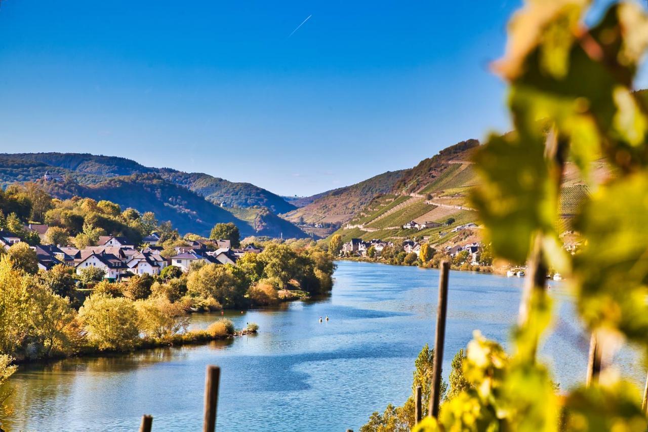 Luxus Apartments Mosel-Zeit Neu 2023 Zell Extérieur photo